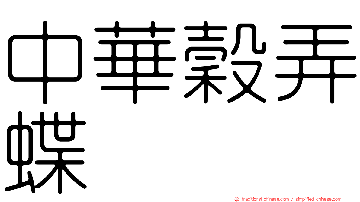 中華穀弄蝶