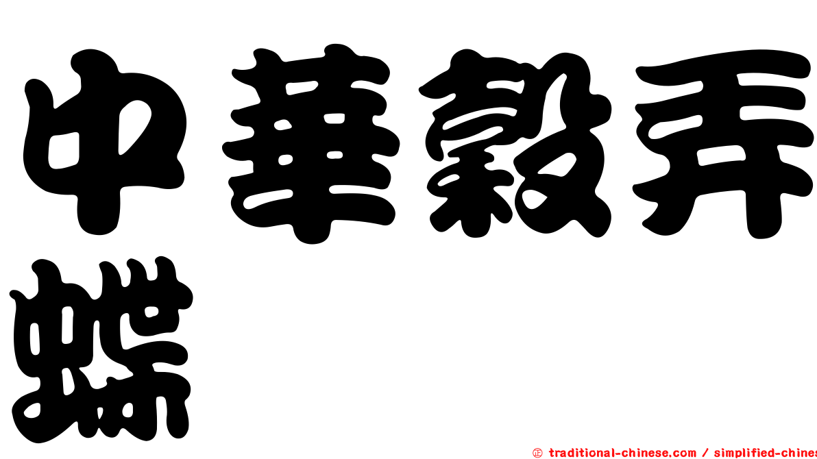 中華穀弄蝶