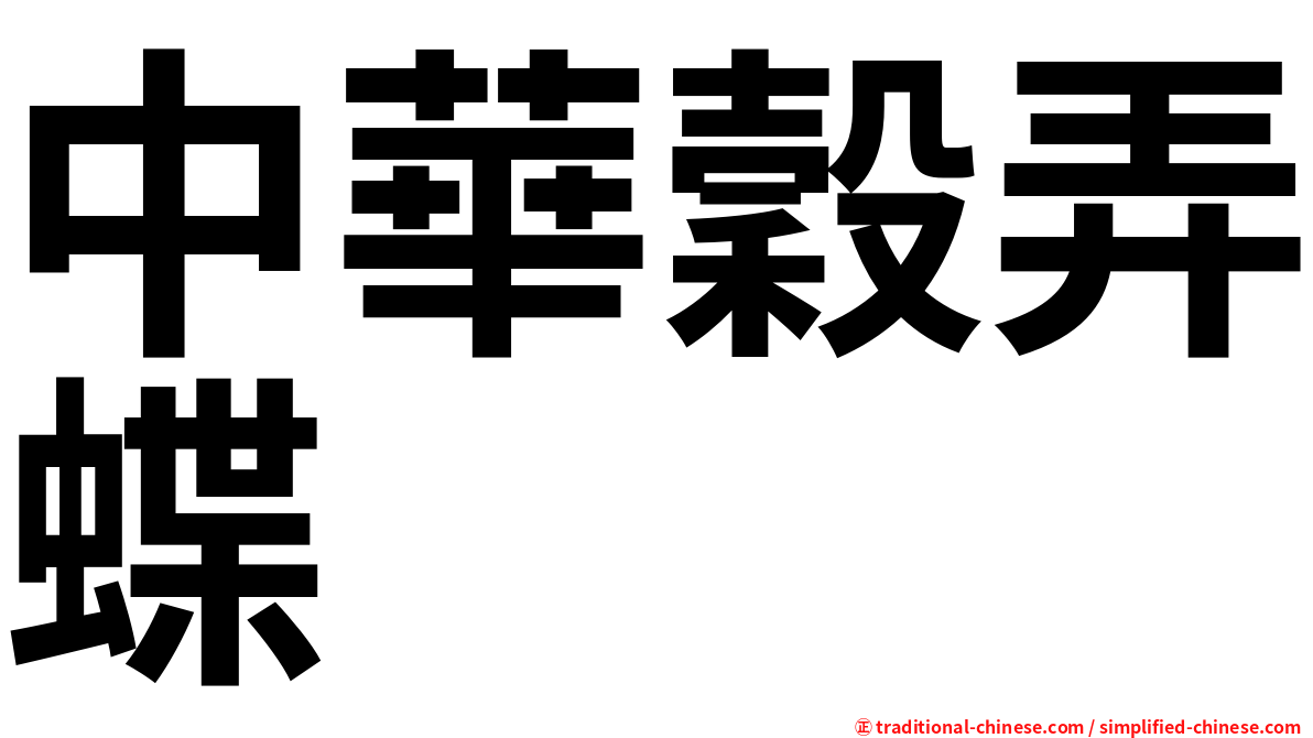 中華穀弄蝶