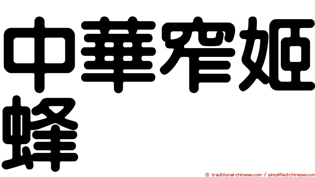 中華窄姬蜂