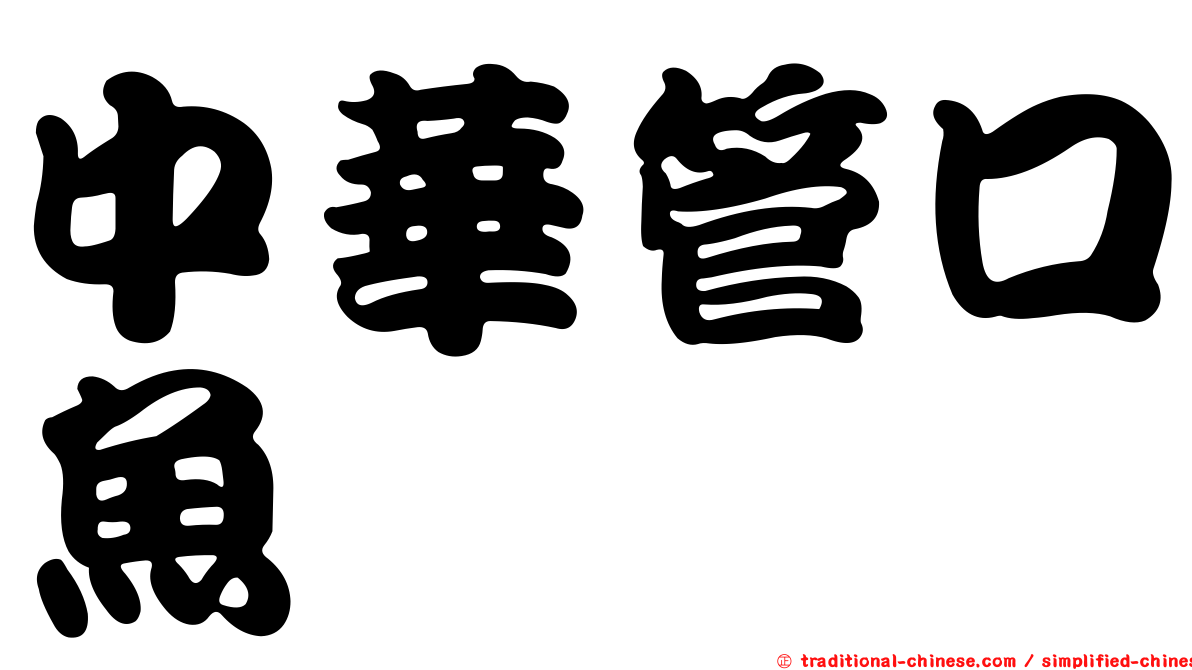 中華管口魚