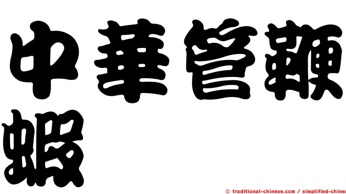 中華管鞭蝦