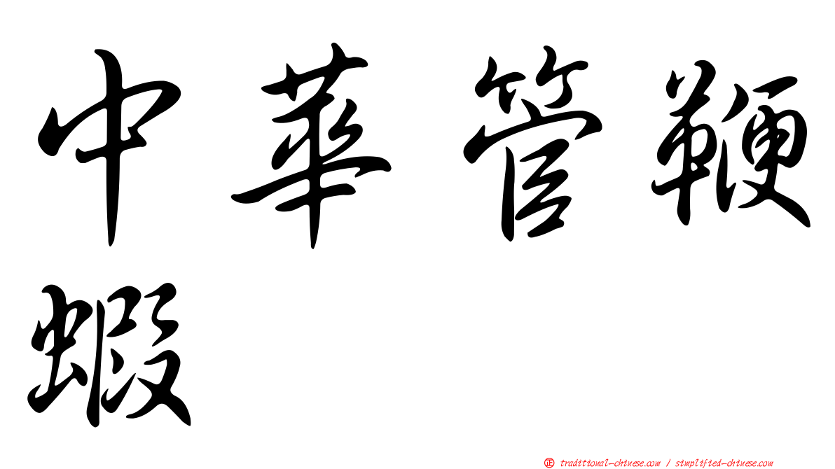 中華管鞭蝦