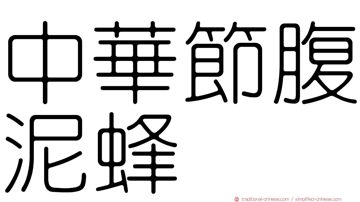 中華節腹泥蜂
