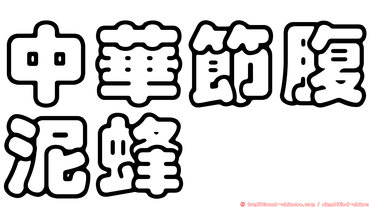 中華節腹泥蜂