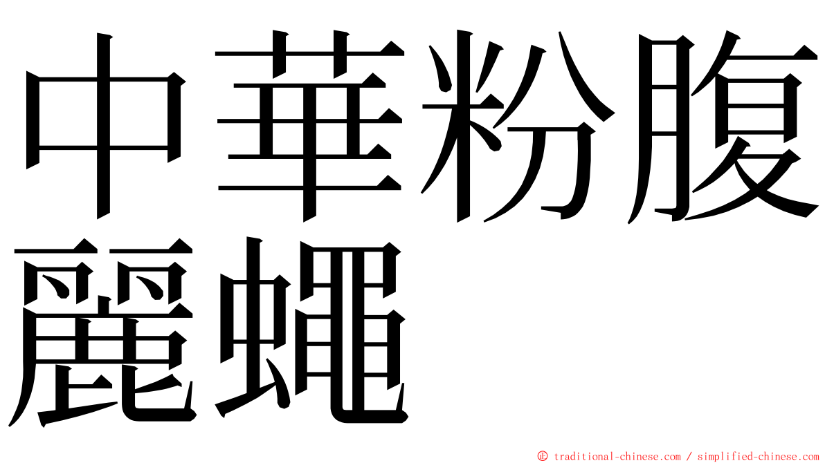 中華粉腹麗蠅 ming font