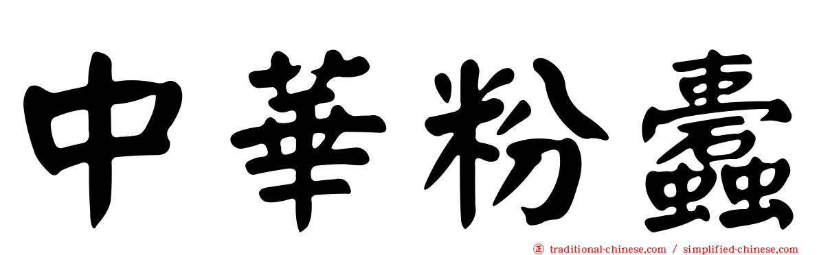 中華粉蠹