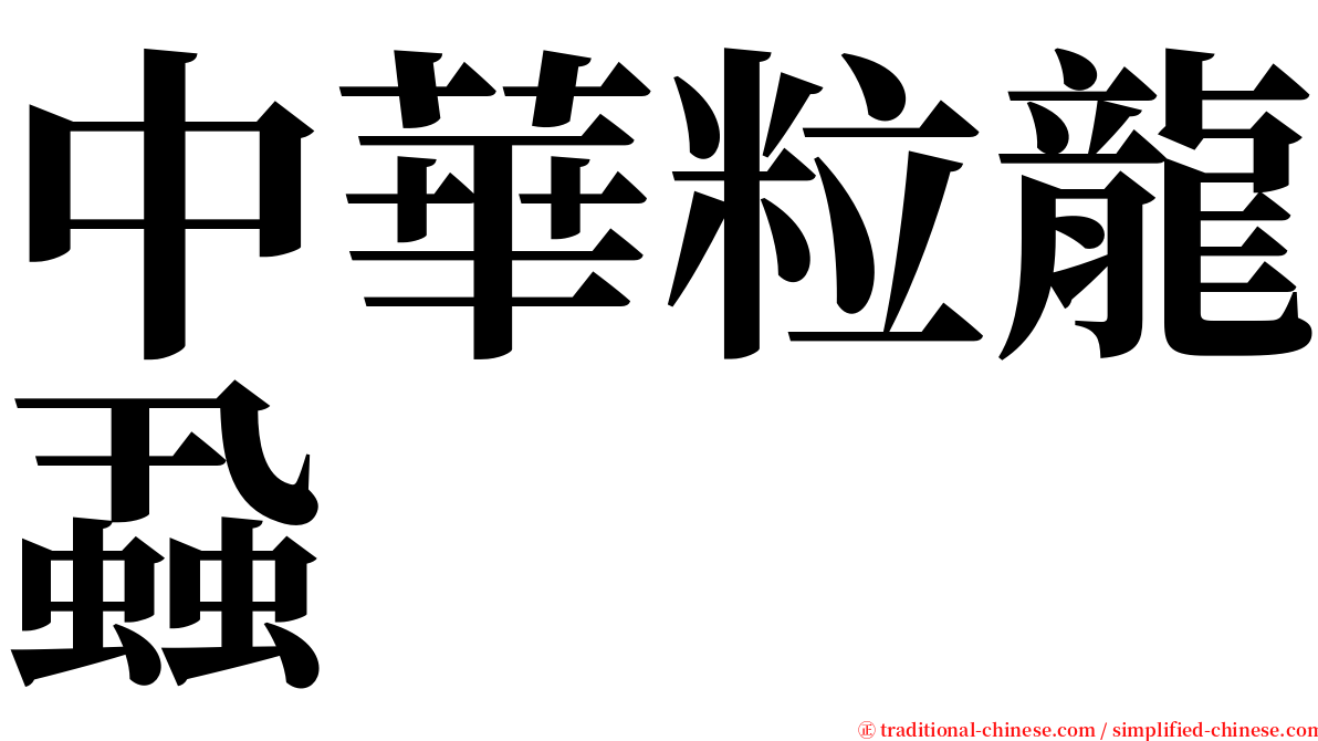中華粒龍蝨 serif font