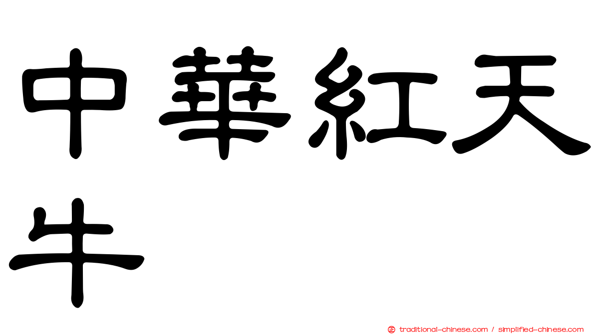 中華紅天牛