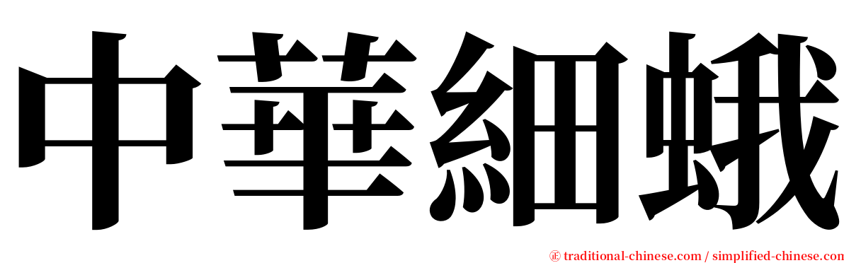 中華細蛾 serif font