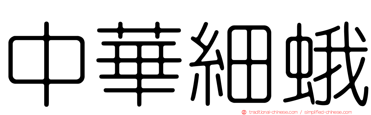中華細蛾