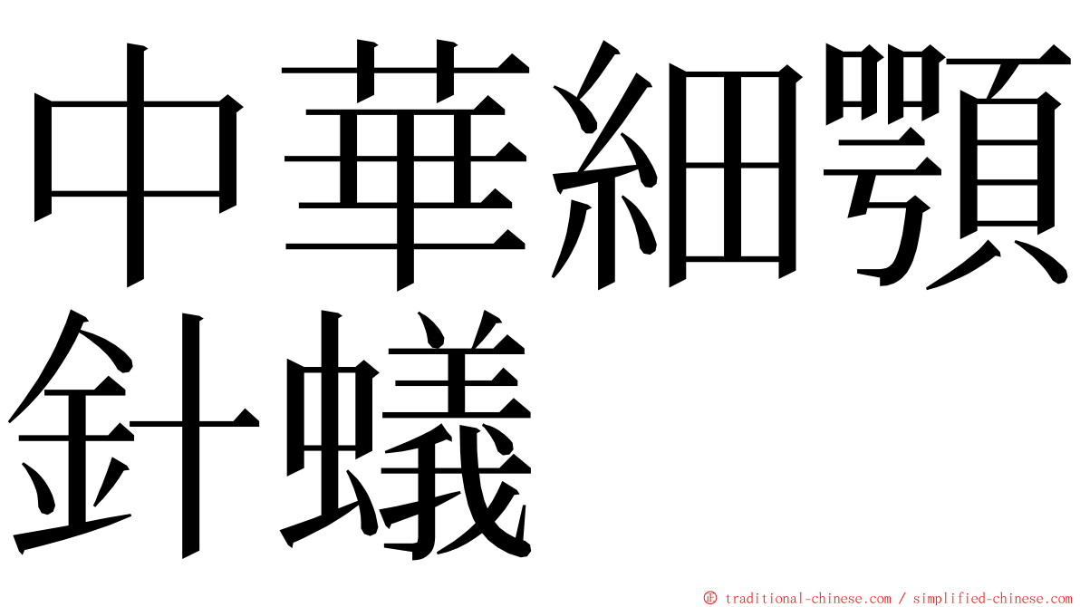 中華細顎針蟻 ming font