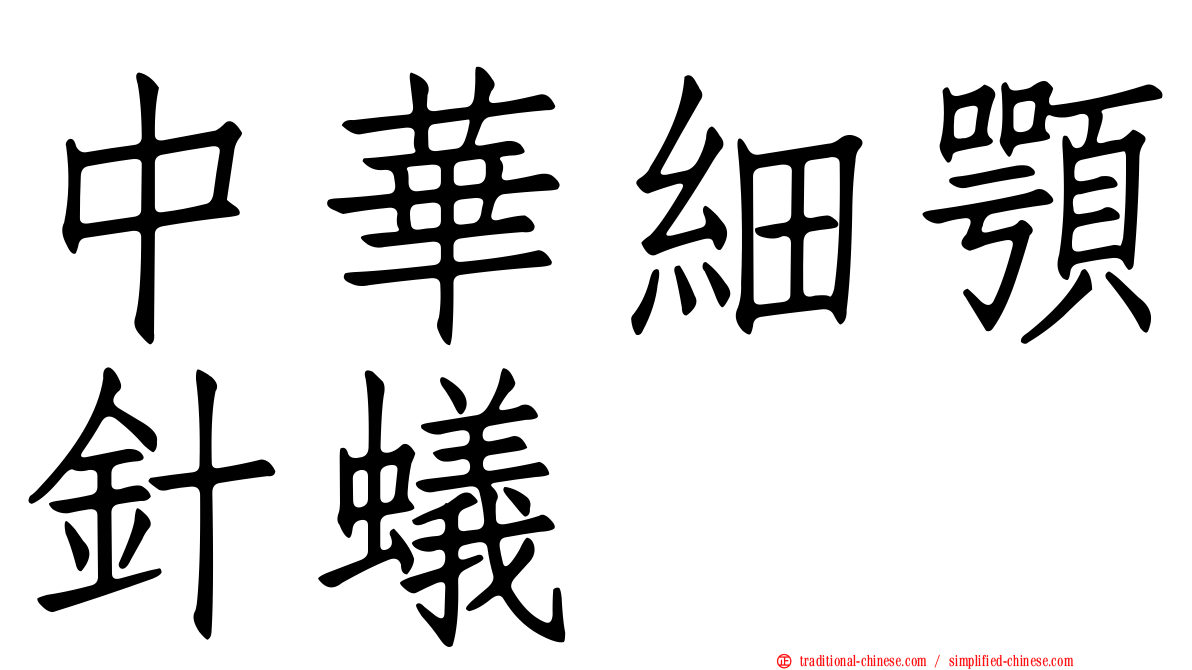 中華細顎針蟻