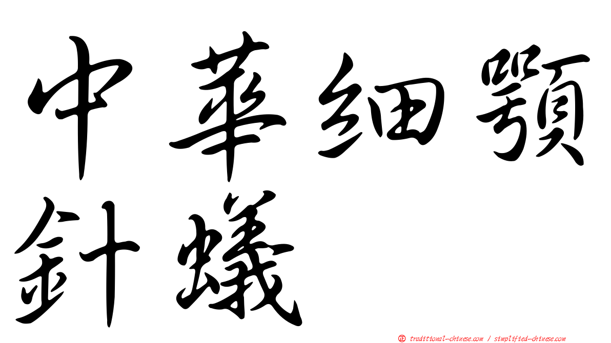 中華細顎針蟻