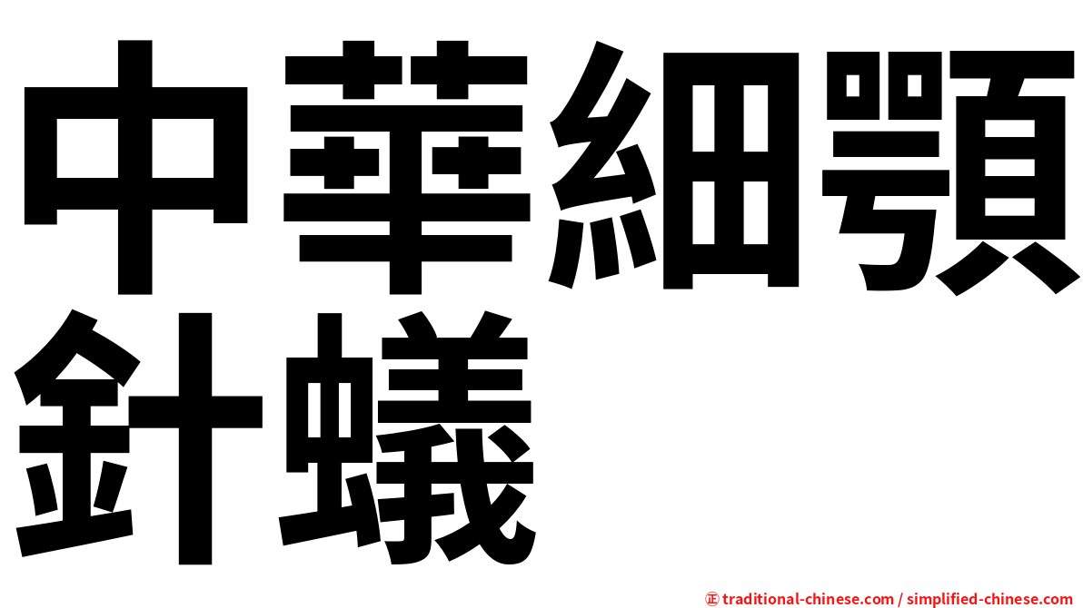 中華細顎針蟻