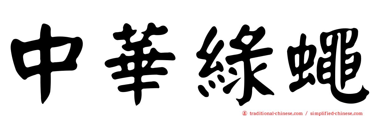 中華綠蠅