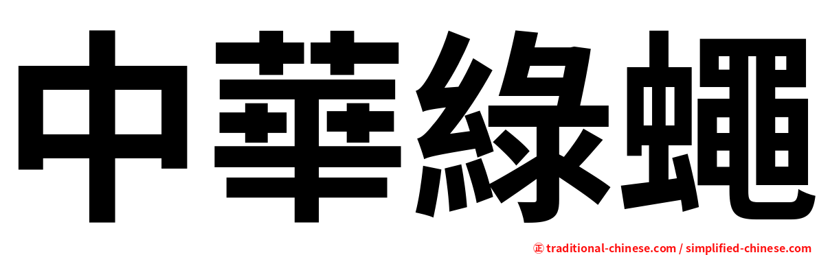 中華綠蠅