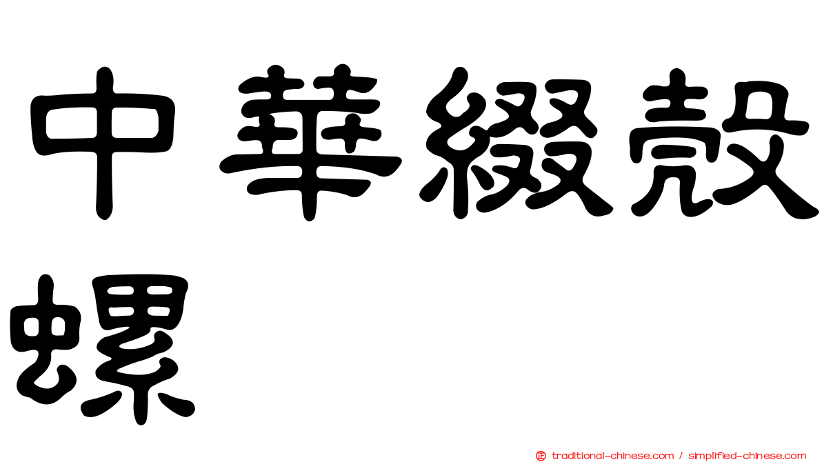 中華綴殼螺