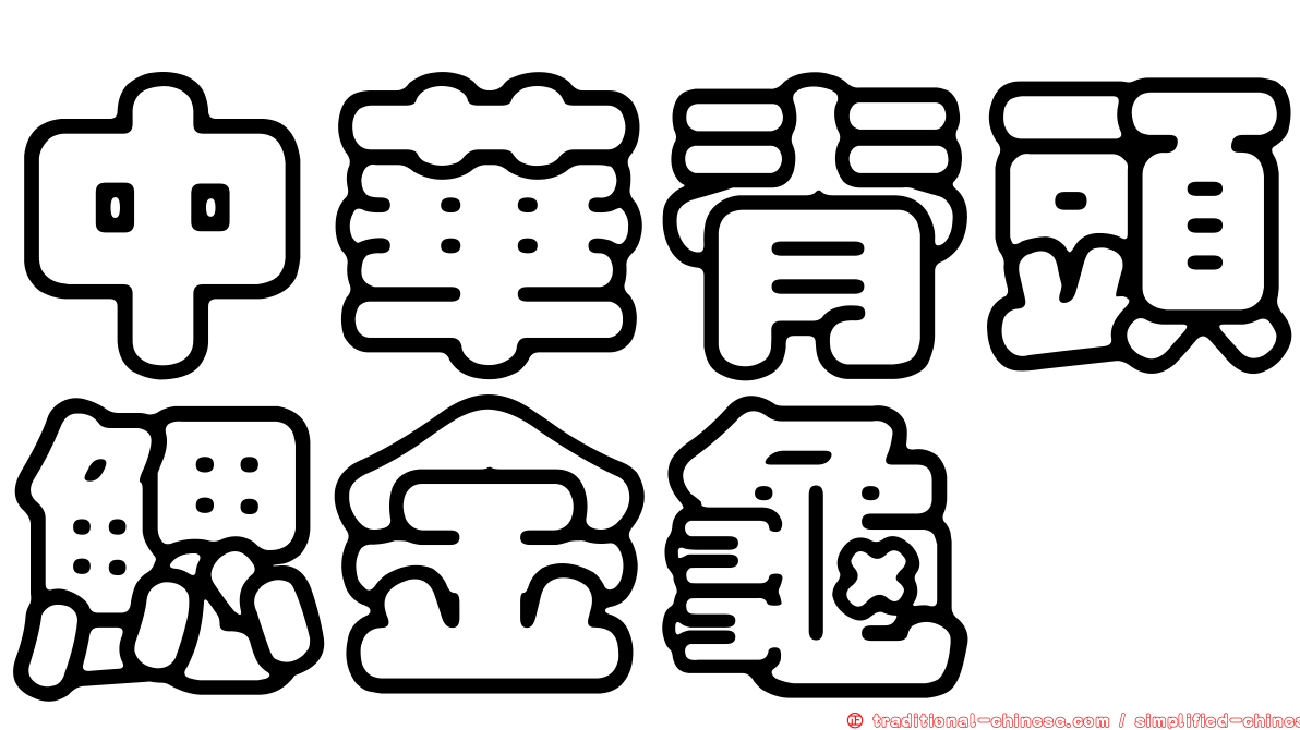 中華脊頭鰓金龜