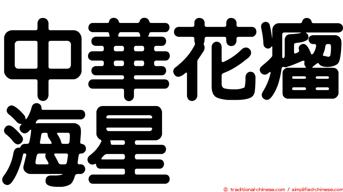 中華花瘤海星