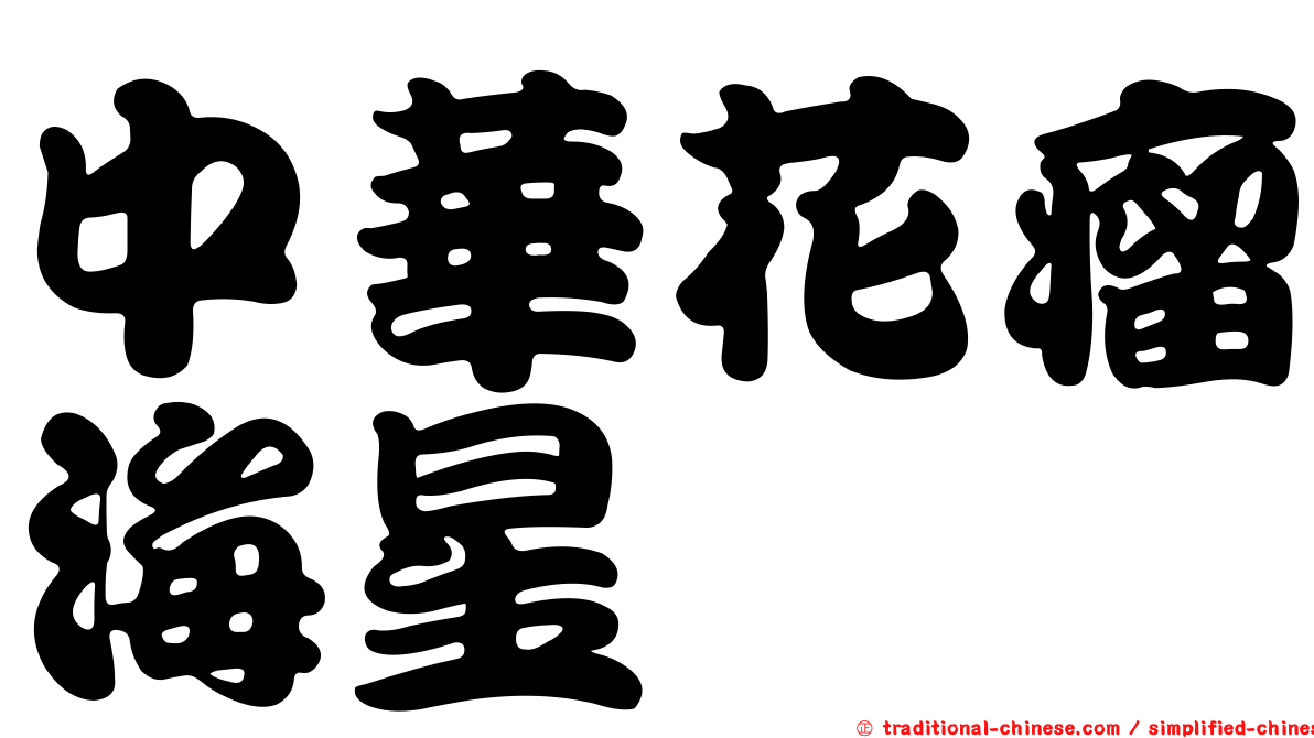 中華花瘤海星