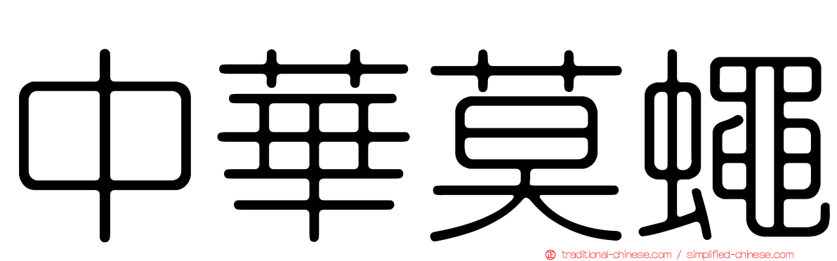 中華莫蠅