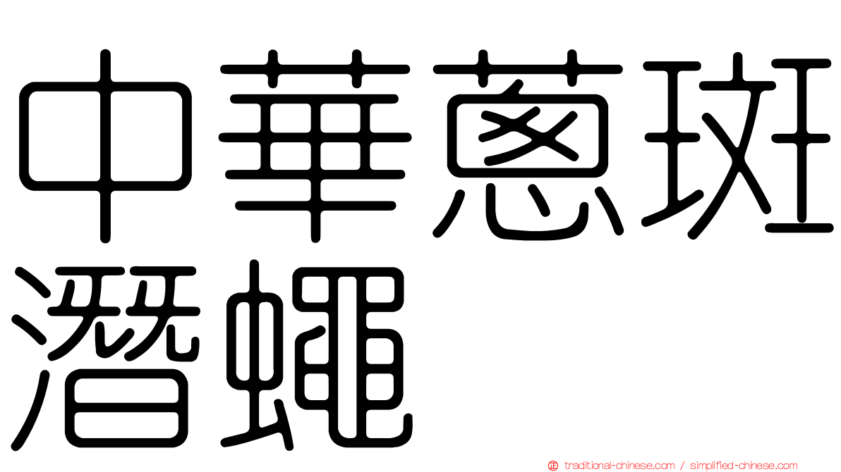 中華蔥斑潛蠅