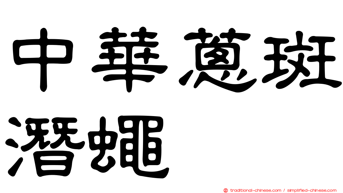 中華蔥斑潛蠅
