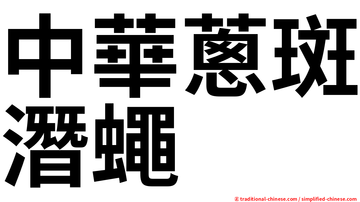 中華蔥斑潛蠅