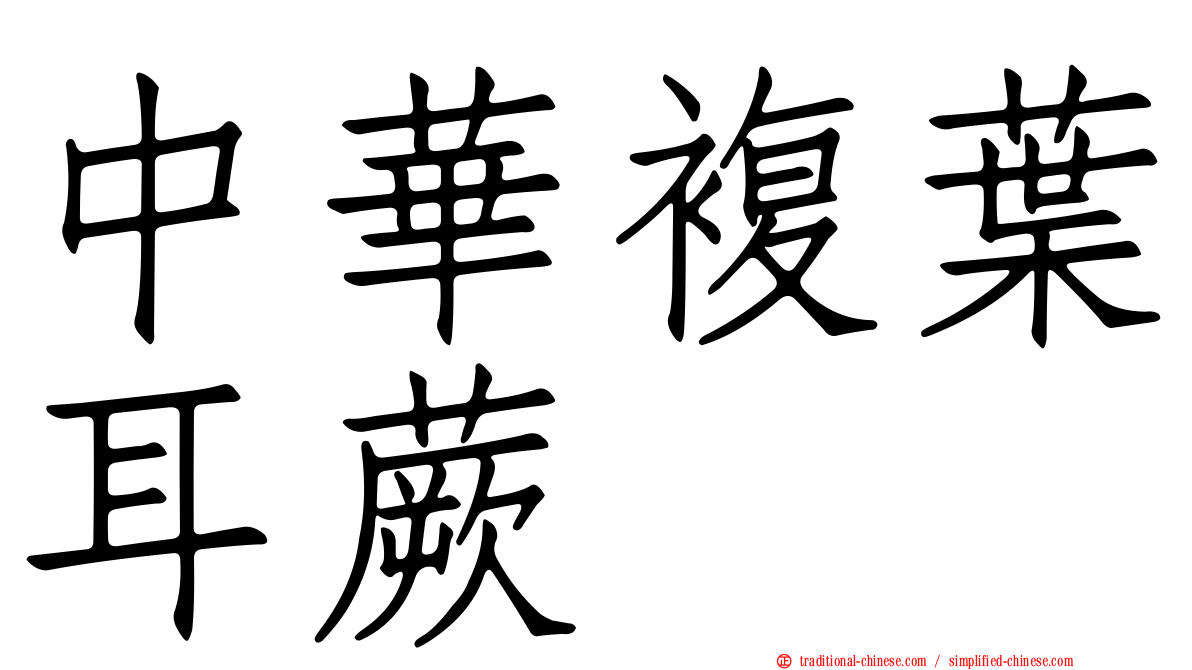 中華複葉耳蕨