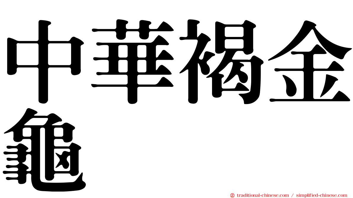 中華褐金龜