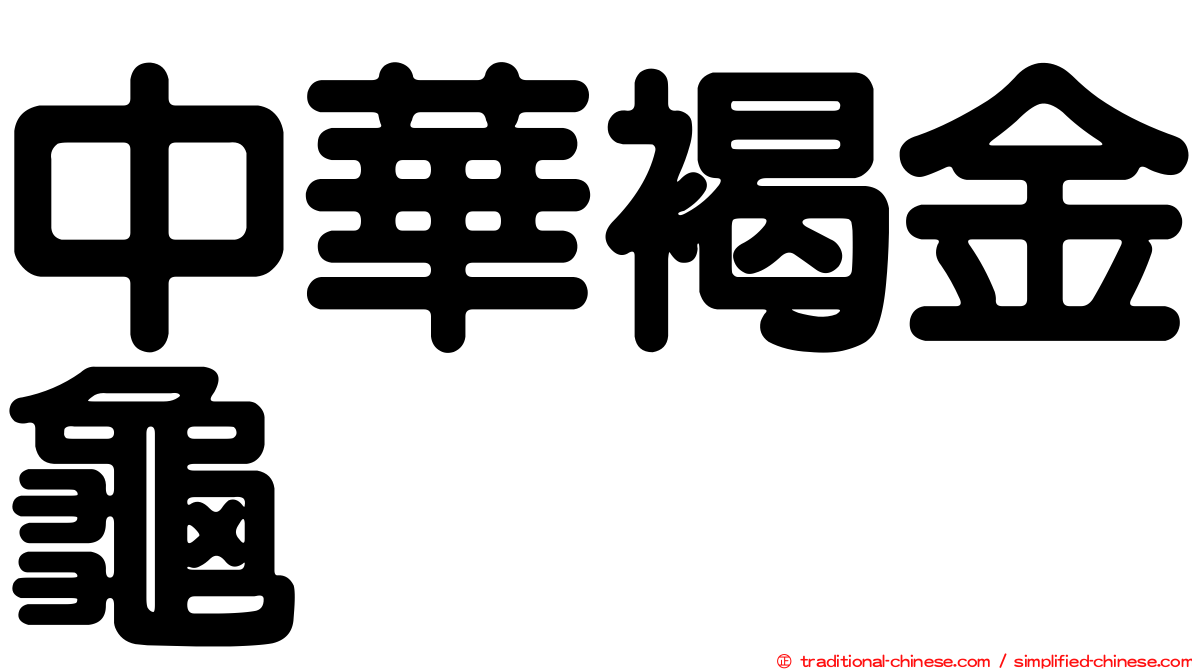 中華褐金龜