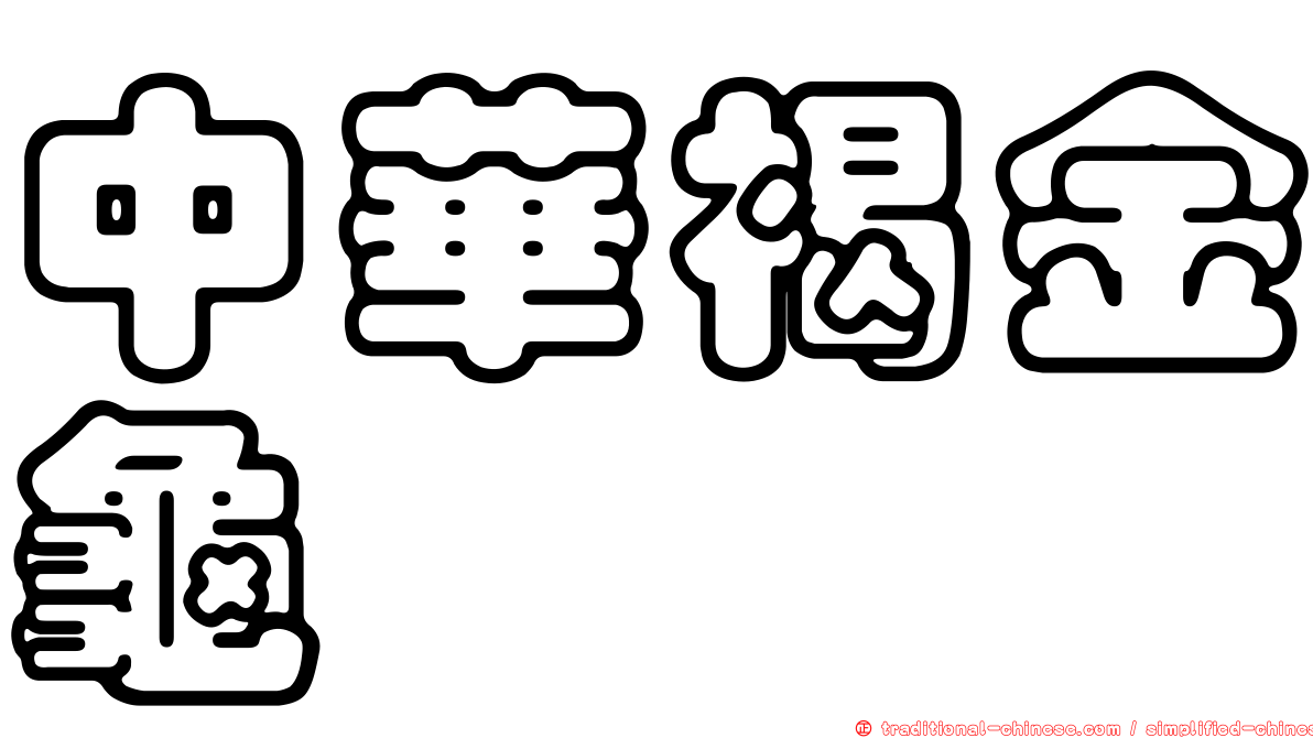 中華褐金龜