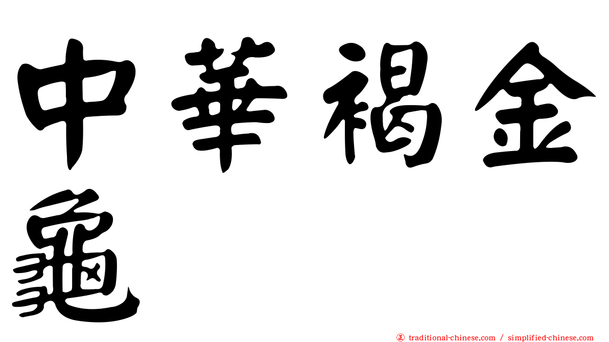 中華褐金龜