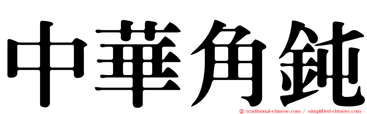 中華角鈍