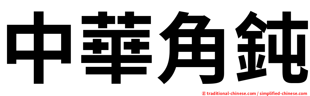 中華角鈍