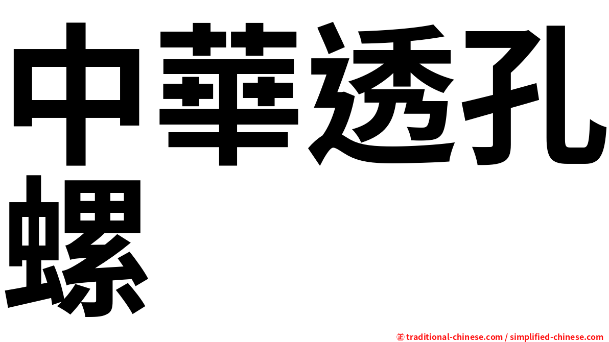 中華透孔螺