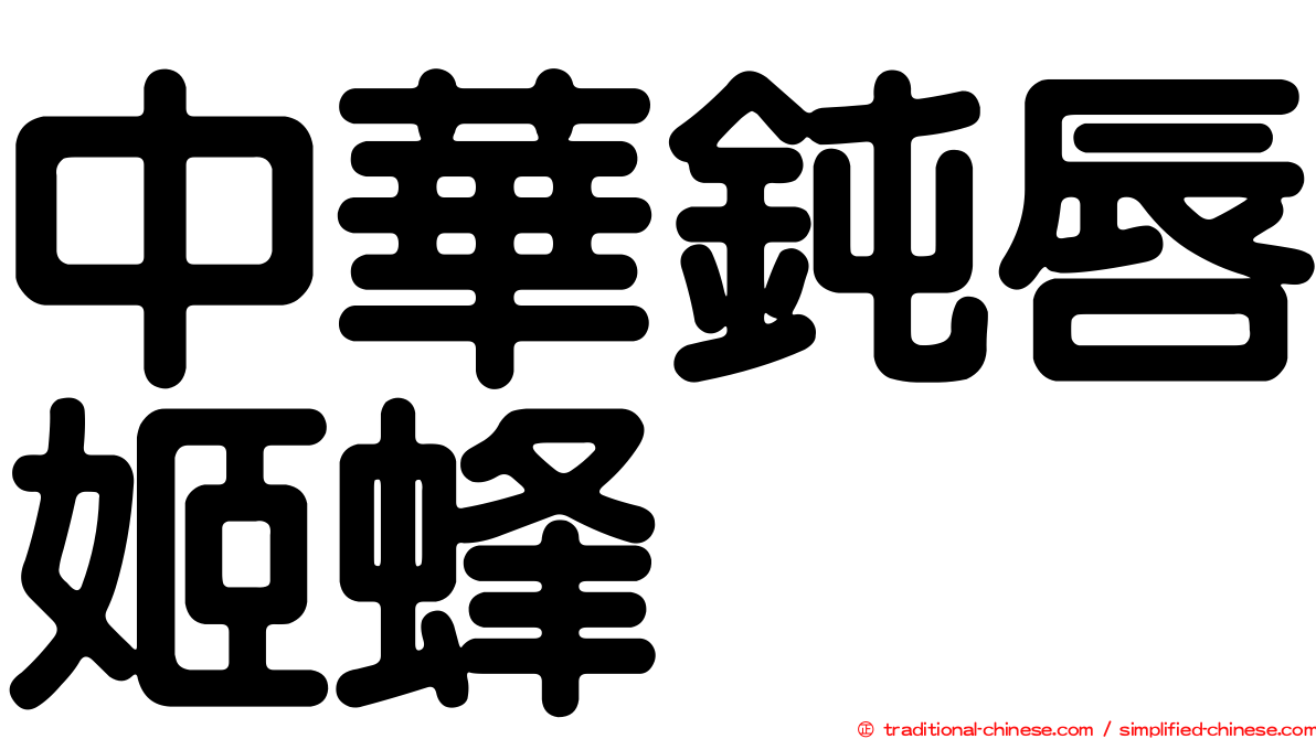 中華鈍唇姬蜂
