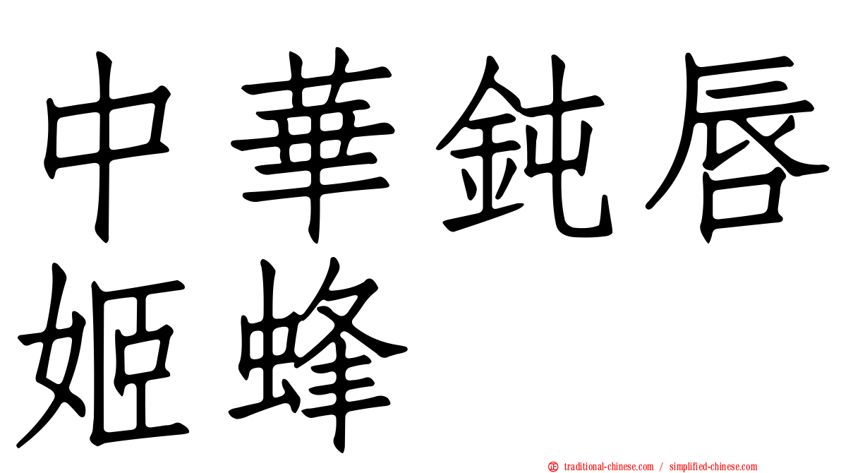 中華鈍唇姬蜂