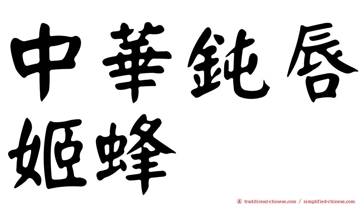 中華鈍唇姬蜂