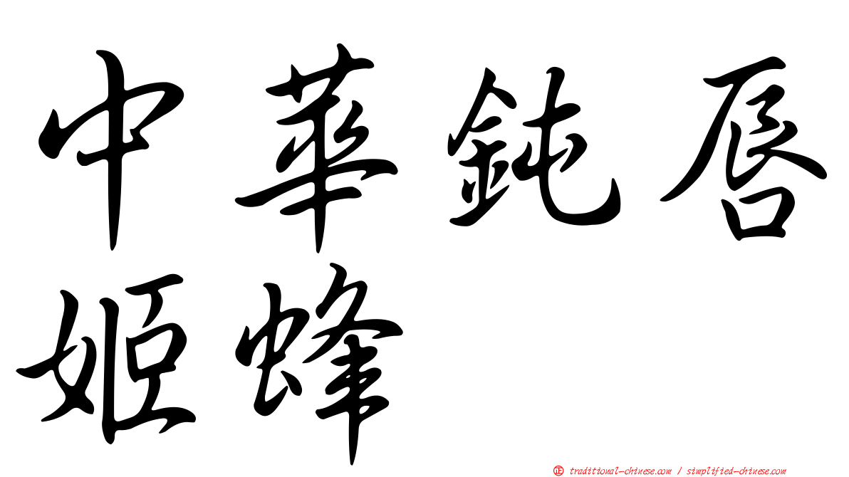 中華鈍唇姬蜂