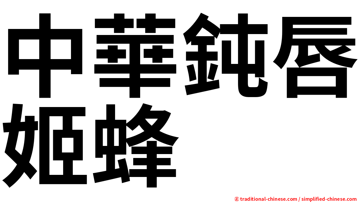 中華鈍唇姬蜂