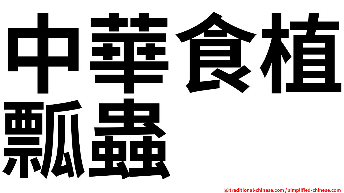 中華食植瓢蟲