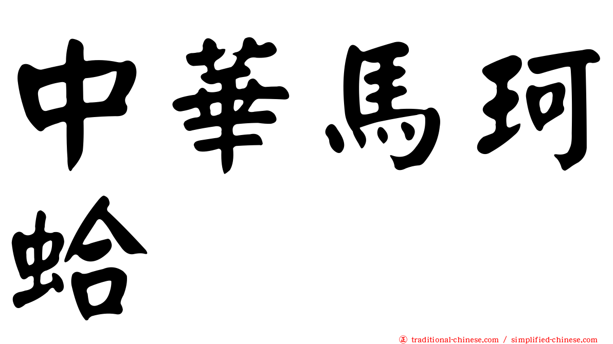 中華馬珂蛤