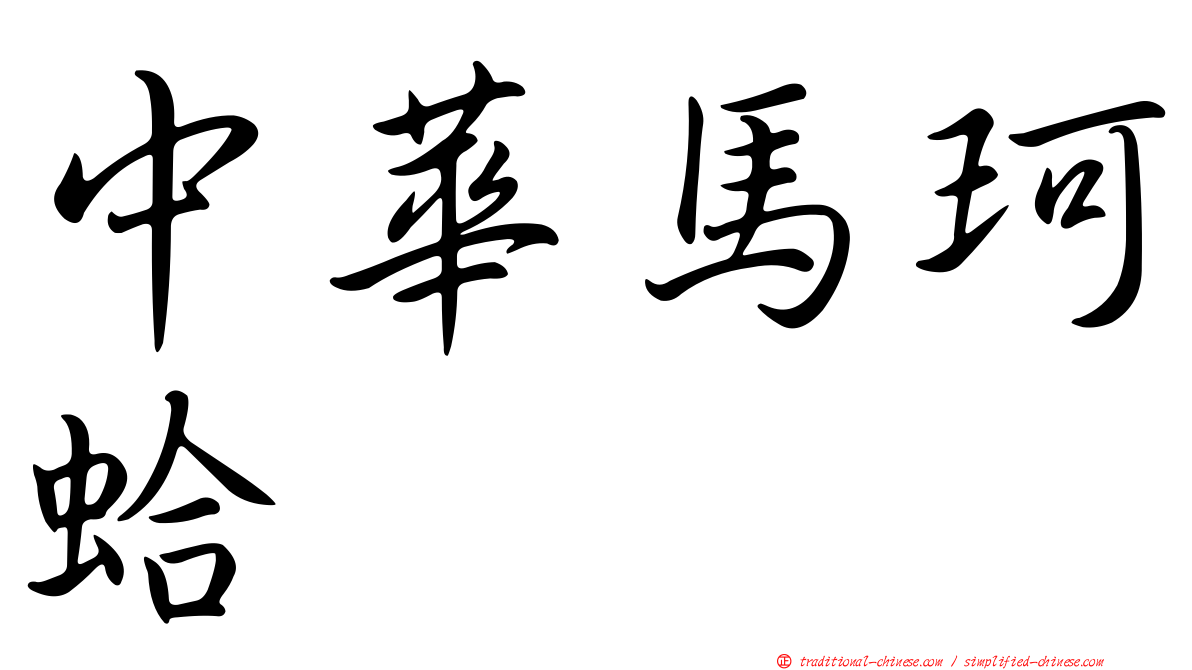 中華馬珂蛤