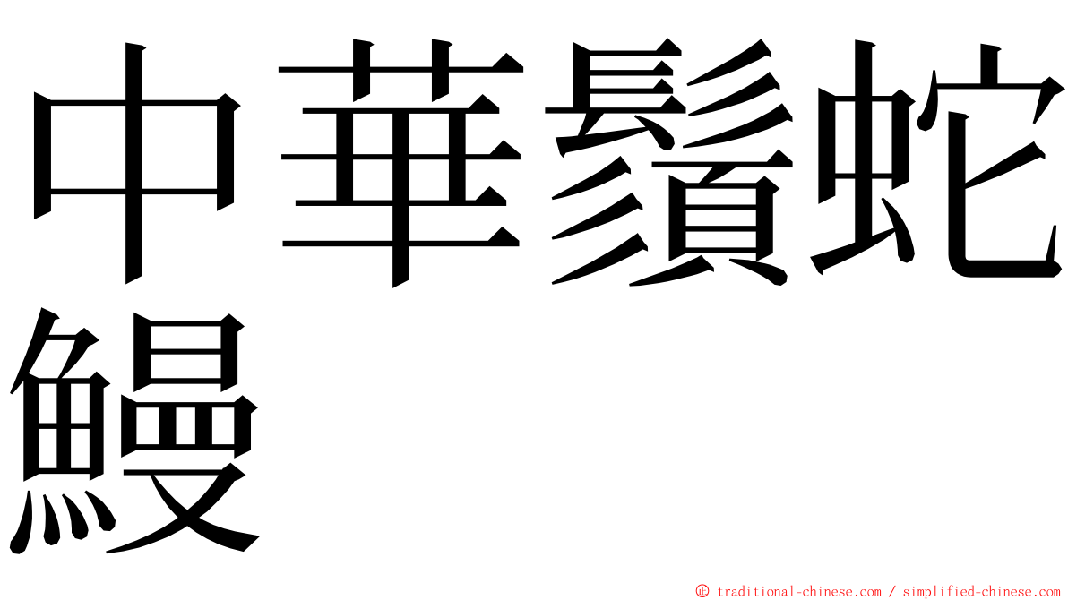 中華鬚蛇鰻 ming font