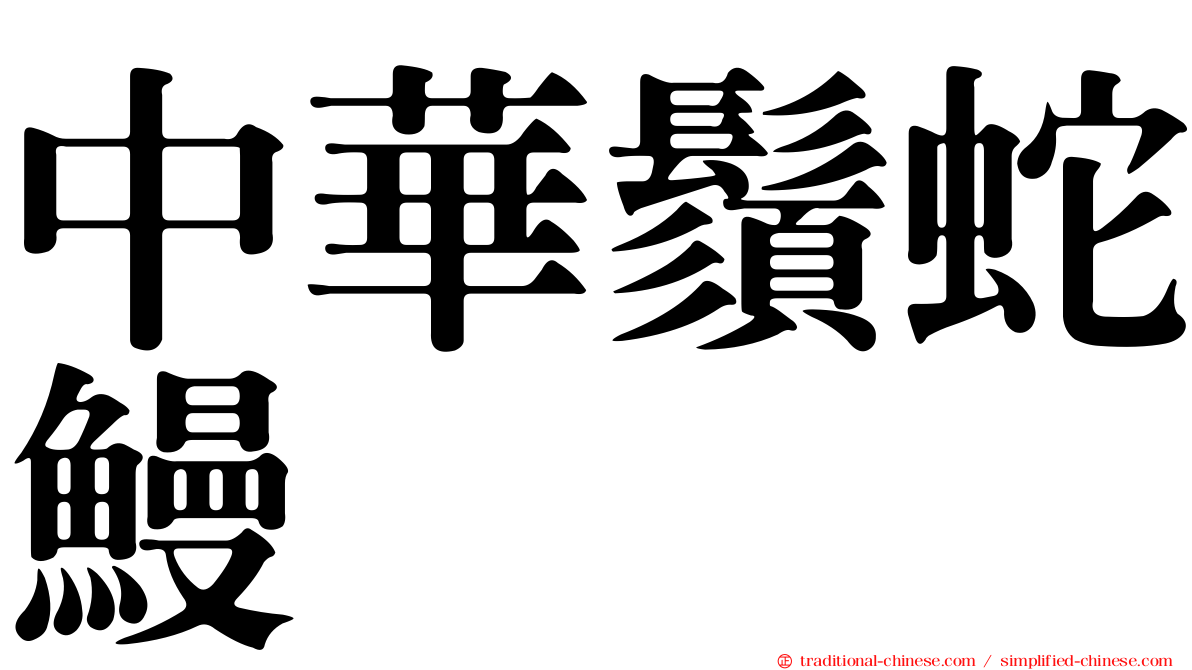 中華鬚蛇鰻