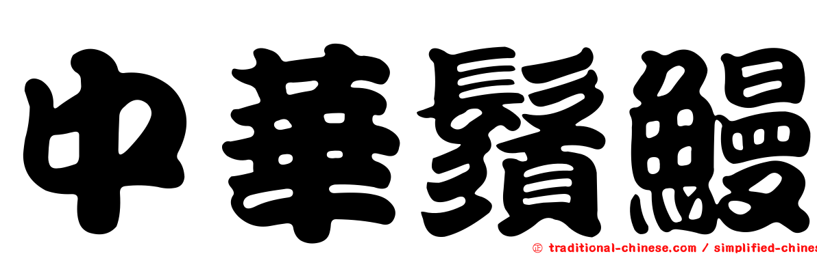 中華鬚鰻