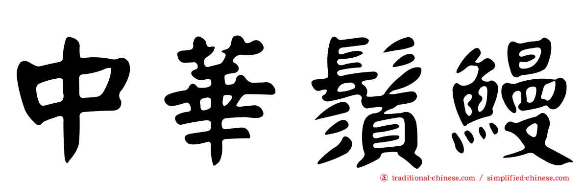 中華鬚鰻