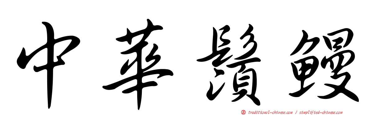 中華鬚鰻